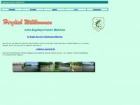 asv-meerholz.de Webseite Vorschau