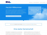bsg-gross-gerau.de Webseite Vorschau