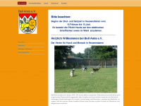 bell-amis.de Webseite Vorschau