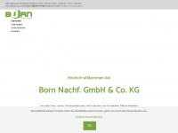 born-recycling.de Webseite Vorschau