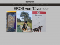 berner.cc Webseite Vorschau