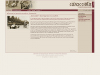 caracciola-consulting.de Webseite Vorschau
