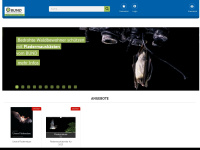 all-about-bats.net Webseite Vorschau