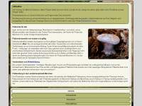 pilze-muenchen.de Webseite Vorschau