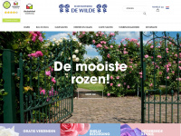 dewilde.nl Webseite Vorschau