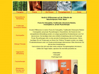 naturheilpraxis-bayer.de Webseite Vorschau