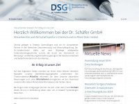 dsg-wp-stb.de Webseite Vorschau