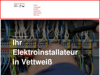 elektro-brandt.com Webseite Vorschau