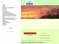 eugen-bachmann-schule.de Webseite Vorschau