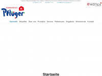 farbenhaus-pflueger.net Webseite Vorschau