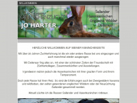haerter-online.de Webseite Vorschau