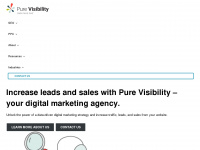 purevisibility.com Webseite Vorschau