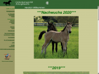 kinzighausen.de Webseite Vorschau