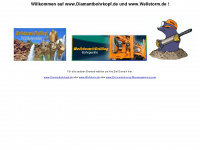 wellstorm.de Webseite Vorschau
