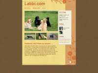 labbi.com Webseite Vorschau