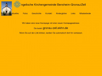gronau-zell-evki.de Webseite Vorschau