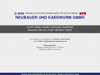 neubauer-kaeswurm.de Webseite Vorschau