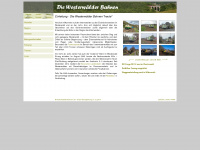 westerwaelder-bahnen.net Webseite Vorschau