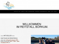 reitstall-borkum.de Webseite Vorschau
