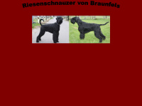 riesenschnauzer-braunfels.de Webseite Vorschau