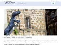 bluegecko-marketing.de Webseite Vorschau