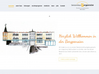 seniorenhaus-bergpension.de Webseite Vorschau