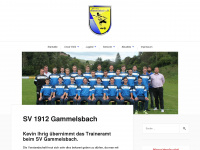 svgammelsbach.de Webseite Vorschau