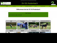 Sv-rodenbach.de