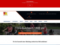 tsg-sulzbach.de Webseite Vorschau