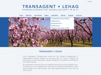 transagent.at Webseite Vorschau