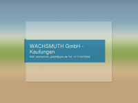 wachsmuth.com Thumbnail