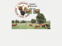 highland-cattle-hommersum.com Webseite Vorschau