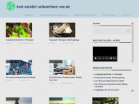 amt-ostufer-schweriner-see.de Webseite Vorschau