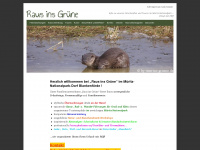 raus-ins-gruene.de Webseite Vorschau