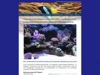 meerwasser-aquarien.de Thumbnail