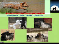 hundepension-demmin.de Webseite Vorschau