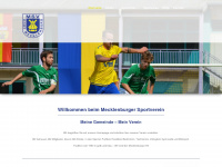 mecklenburger-sv.de Webseite Vorschau