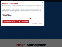 pusch-heizung.de Webseite Vorschau