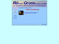 ruegross.de Webseite Vorschau