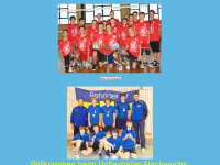 volleyballer-rehnaer-sv.de.tl Webseite Vorschau