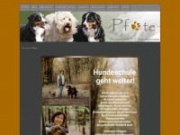 hundeschule-pfote.de Webseite Vorschau