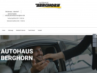 autohaus-berghorn.de Webseite Vorschau