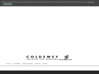 coldewey-sws.de Webseite Vorschau