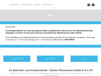elektro-winsemann.de Webseite Vorschau