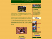 ghanareisen.de Webseite Vorschau