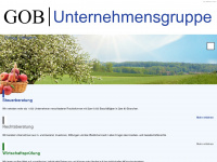 gob-stbg.de Webseite Vorschau