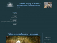 ray-of-sunshine.de Webseite Vorschau