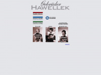hawellek.de Webseite Vorschau
