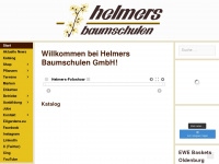 helmers.de Webseite Vorschau