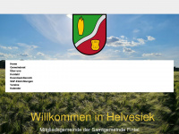 helvesiek.de Webseite Vorschau